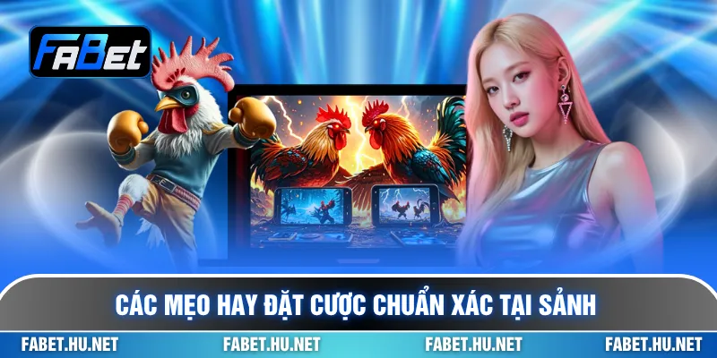 Các mẹo hay đặt cược chuẩn xác tại sảnh