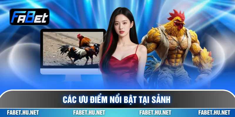 Các ưu điểm nổi bật tại sảnh