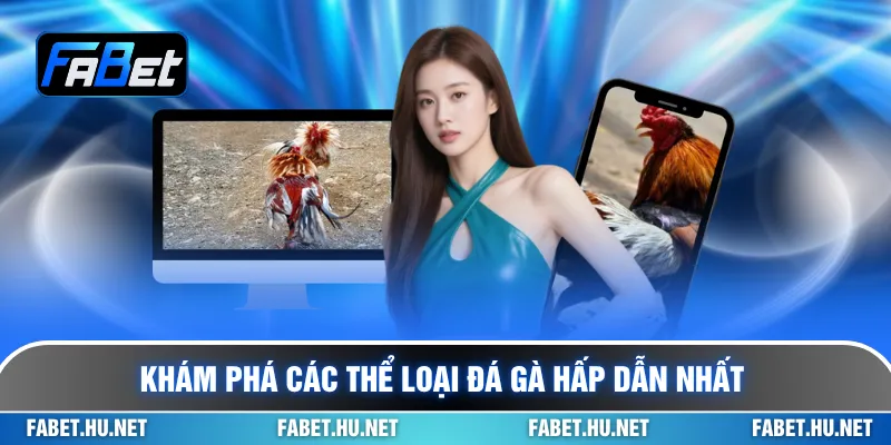 Khám phá các thể loại đá gà hấp dẫn nhất