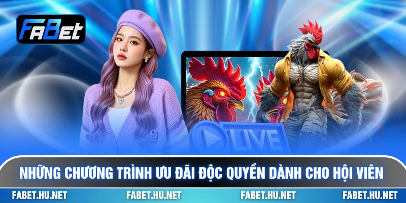 Những chương trình ưu đãi độc quyền dành cho hội viên