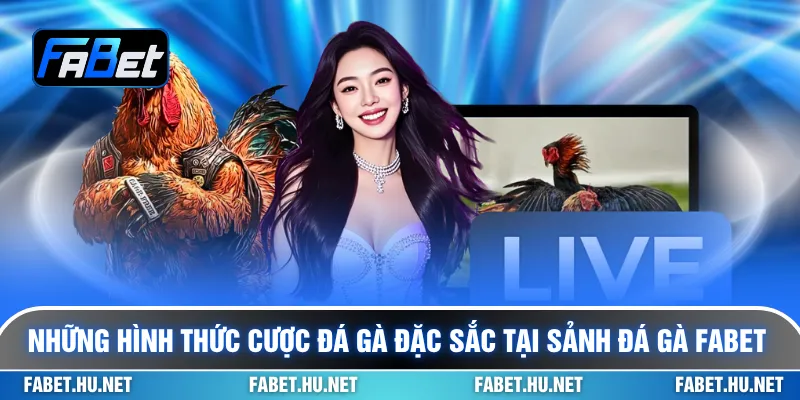 Những hình thức cược đá gà đặc sắc tại sảnh đá gà Fabet